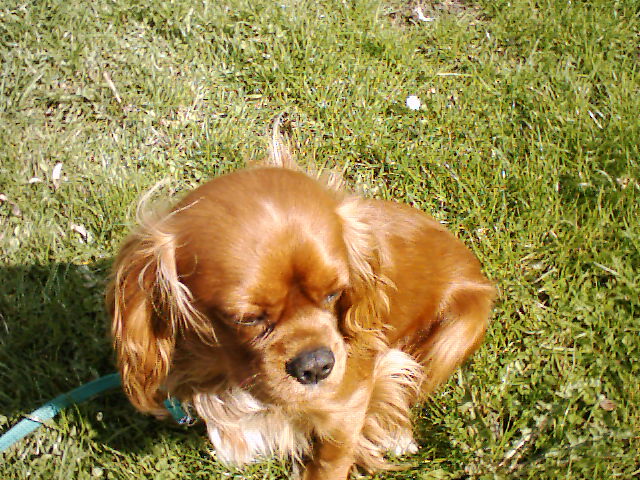 Bild 19.jpg